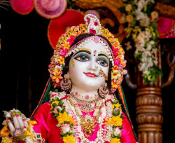 Daily Darshan