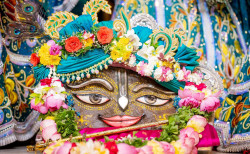 Daily Darshan