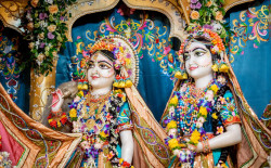 Daily Darshan