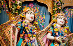 Daily Darshan