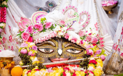 Daily Darshan