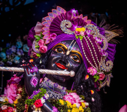 Daily Darshan
