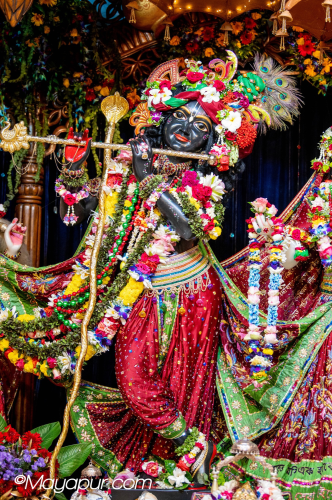 Daily Darshan
