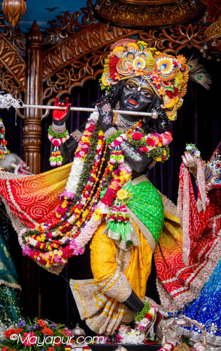 Daily Darshan