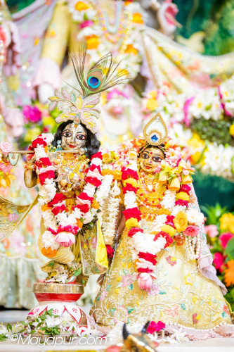 Daily Darshan