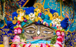 Daily Darshan