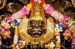 Daily Darshan
