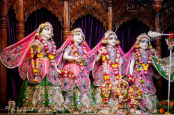 Daily Darshan