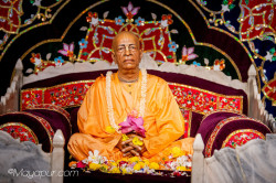 Daily Darshan