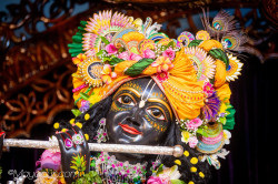 Daily Darshan