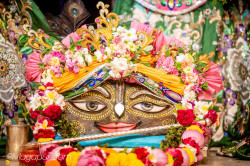 Daily Darshan