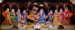 Daily Darshan
