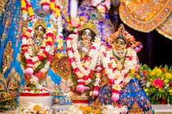 Daily Darshan