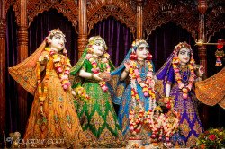 Daily Darshan