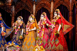 Daily Darshan