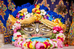 Daily Darshan