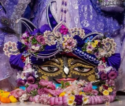 Daily Darshan