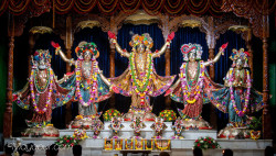 Daily Darshan