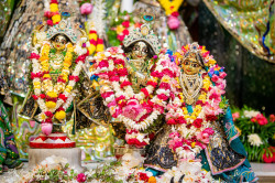 Daily Darshan