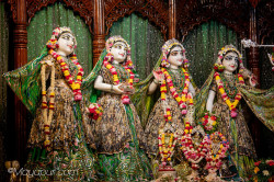 Daily Darshan