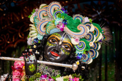 Daily Darshan