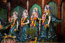 Daily Darshan