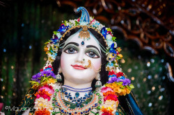 Daily Darshan