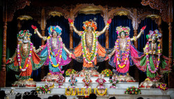 Daily Darshan