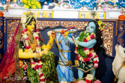 Daily Darshan