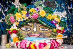 Daily Darshan