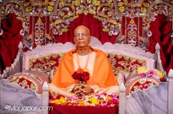 Daily Darshan
