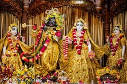 Daily Darshan