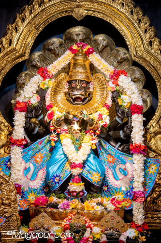 Daily Darshan