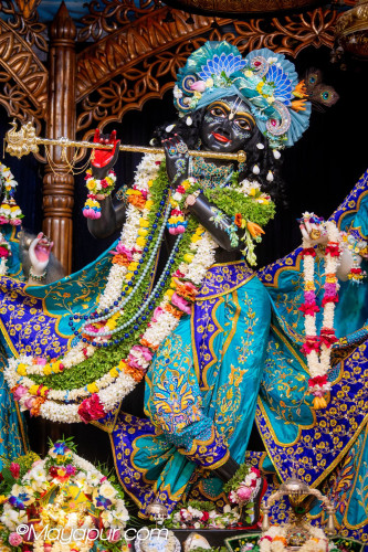 Daily Darshan
