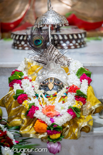 Daily Darshan