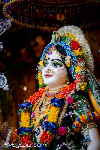 Daily Darshan