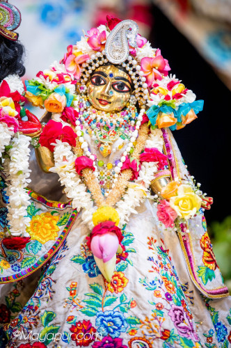Daily Darshan