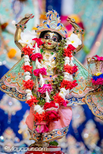 Daily Darshan