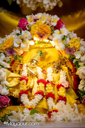 Daily Darshan