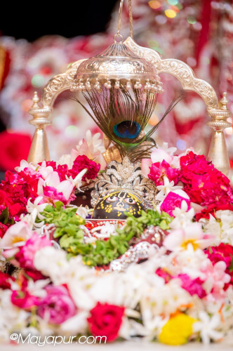 Daily Darshan