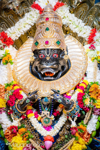 Daily Darshan