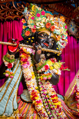 Daily Darshan