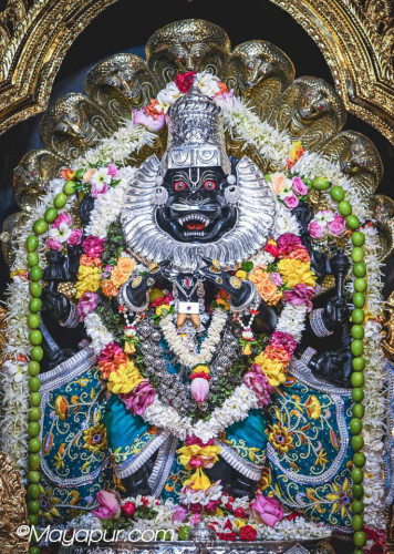 Daily Darshan