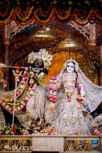 Daily Darshan