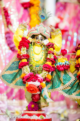 Daily Darshan