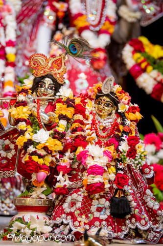Daily Darshan
