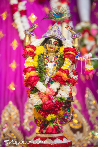 Daily Darshan