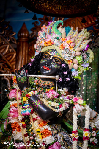 Daily Darshan