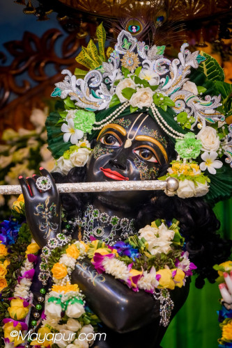 Daily Darshan