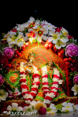 Daily Darshan
